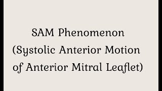 SAM Phenomenon Systolic anterior motion of anterior mitral valve leaflet [upl. by Quiteris]