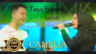 LIVE BANJIR SAWERAN  CAMELIA  TASYA ROSMALA  OM ADELLA  LIVE DI HJS PAMEKASAN MADURA [upl. by Onitsoga462]