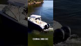 Cobia 280 DC  for sale  contact Boat Monster for a viewing [upl. by Elleinnad]