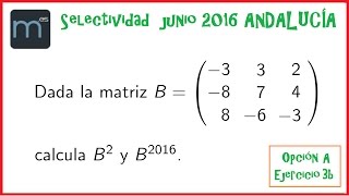 Potencias de matrices [upl. by Llenal]