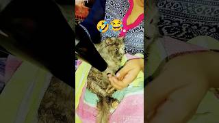 Aaj 1 mahine bad Rano nahai  Rano Mano trending cat meowszone catfunny funny viral [upl. by Farnsworth444]