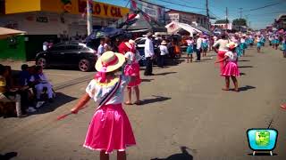 Desfiles 3 de noviembre Changuinola Bocas del Toro Escuelas y Colegios 2017 [upl. by Teryn]