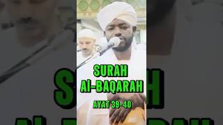 Noreen Muhammad Sadiq BEST Recitation Surah Baqarah sheikhnoreenmuhammadsiddique surahalbaqarah [upl. by Wini152]