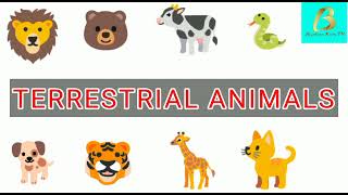 Terrestrial animals name with pictures 10 terrestrial animals kids learning videos Burhan kids tv [upl. by Alemap]