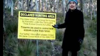 Hunting in NSW state forests [upl. by Rachaba]