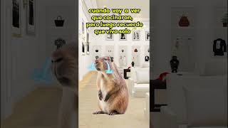 Pobre capibara meme enojo capibara triste [upl. by Cynth]