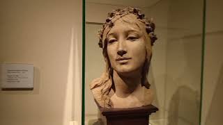 Museo de Bellas Artes vlog [upl. by Aitselec732]