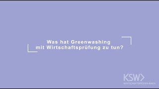 Was kann Wirtschaftsprüfung gegen Greenwashing tun [upl. by Sunny318]