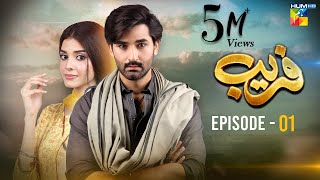 Fareb  Episode 01  7th May 2023   Zain Baig Zainab Shabbir  Maria Wasti  HUM TV [upl. by Siraval]