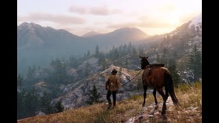 Red Dead Redemption 2 LIVE Close to Realism MAX Settings [upl. by Jansson511]