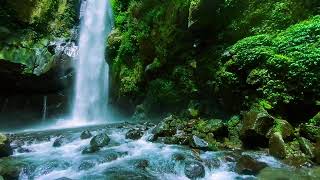 Nature Sounds Waterfall River Relaxation MeditationRelaxing Calm River Water flow for Stress Relief [upl. by Anne-Marie749]