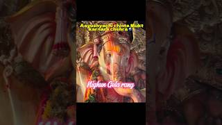 ganaptisong Nighun Gela rang  Ganapati bappa Morya  youtubeshorts shortvideo shorts song [upl. by Wolbrom]