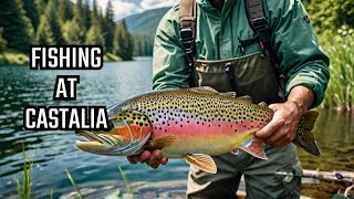 Giant Trout Fishing at Castalia Trout Club PT 2 [upl. by Aisset]