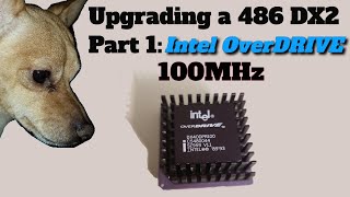 Upgrading my old 486 DX2 Part 1 Intel Overdrive [upl. by Kra]