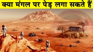 क्या मंगल ग्रह पर पेड़ लगा सकते हैं Can We Plant Trees on MarsCan you grow plants on Mars [upl. by Kreager]