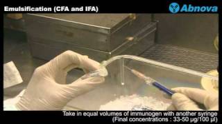 Emulsification CFA and IFA [upl. by Onitnevuj]