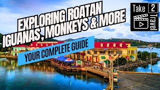 Why Roatan Honduras Should Be Your Next Cruise Stop  Hidden Gem in the Western Caribbean [upl. by Mcwilliams192]