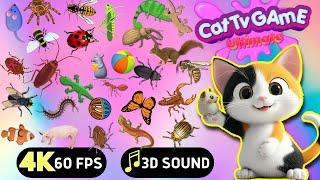 CAT GAMES  Ultimate Cat TV Compilation Vol 44  3 HOURS  GAME FOR CATS amp DOGS 🐝🐞🦋🦎🦜🐜🐭🧵😺 [upl. by Bentlee977]