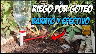 Cómo hacer un sistema de riego por goteo ecológico con una botella reciclada [upl. by Justinn663]