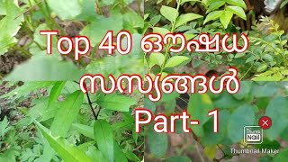 Medicinal Plants Herbal Plants Around usAyurvedic plants name in English Malayalam [upl. by Nilyad299]