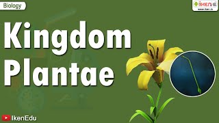 Kingdom Plantae  iKen  iKen App  iKen Edu [upl. by Anjanette]