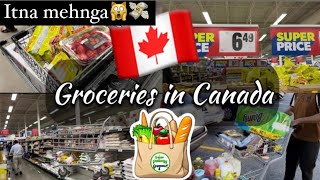 Grocery shopping in Canada  Walmart Canada  Grocery Prices [upl. by Niabi]