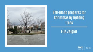 BYUIdaho prepares for Christmas by lighting trees [upl. by Florette]