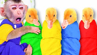 5 Little Ducks Learn Colors Song  Coco Monkey  Nursery Rhymes Kids Songs [upl. by Mixie838]