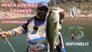 Pescando lobinas grandes con cucharillas [upl. by Prosser]