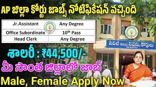 జిల్లా కోర్టుఉద్యోగాలు విడుదల  AP District Cout Jobs 2024  Latest Jobs In Telugu  Court Jobs 2024 [upl. by Eugenius246]