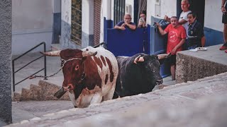 Primera tarde en el BARRIO SANT PERE en Onda  Toro de calle [upl. by Penthea729]