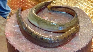 Amazing Zig Zag Eel Fish Cutting Live In Bangladesh Fish Market  Fish Cutting Skills [upl. by Zinah]