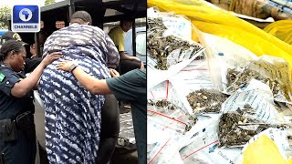 Suspected Female Drug Kingpin Others Arrested In Abia [upl. by Eimat687]