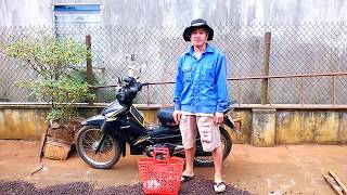 Đi bắt mối chúa cùng chiếc xe 10 năm tuổi finding the termite queen with the 10yearold bike [upl. by Sucramal]