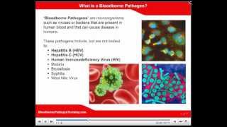 OSHA Bloodborne Pathogen Training Bloodborne Pathogen Video [upl. by Carney164]