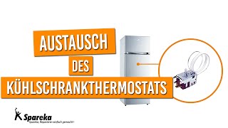 Anleitung für den Austausch des Kühlschrankthermostats [upl. by Winnifred]