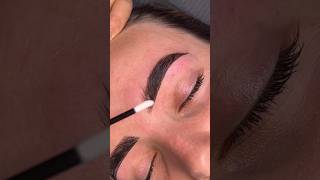 Brow Tinting Tutorial 😘 [upl. by Ormiston498]