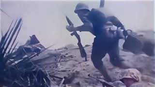 WW2 Pacific War Battle Footage 60fps colorized restored [upl. by Sibella]