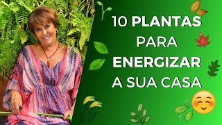 10 Plantas para Energizar Sua Casa [upl. by Idalla]