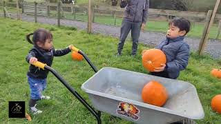 Spooktastic Halloween Festival  Reddish Vale Farm Halloween pumpkinpicking schoolbreak [upl. by Upshaw]