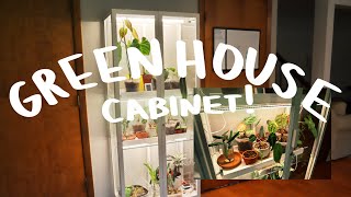 Setting Up My Greenhouse Cabinet  IKEA Milsbo Cabinet [upl. by Aiasi]