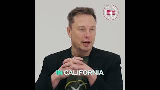 Elon Musk Is Democracy Fading into an Oligarchy [upl. by Bruis539]