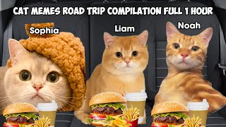 CAT MEMES Road trip Compilation Full 1 Hour [upl. by Grubman]