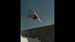 BDog  Backflip Blunt [upl. by Yevi]