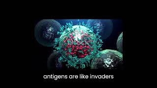 Antibody  Antigen  Immunity  Biology [upl. by Norvol]