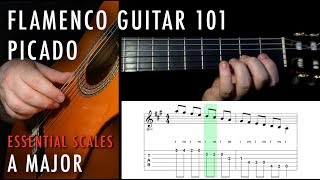 Flamenco Guitar 101  12  Picado A Major [upl. by Ylrebmik]