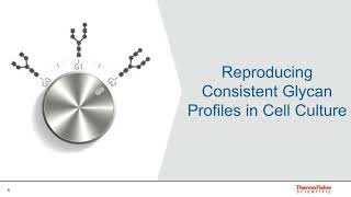 Modification of Glycans in Bioprocessing [upl. by Peednus]