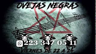 Ovejas Negras Programa 234 [upl. by Aiza334]