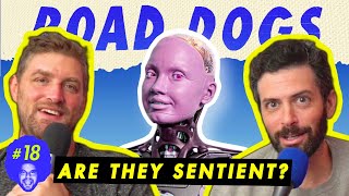 Robots Roaming LOS ANGELES  Road Dogs Ep18  Jon Tomashefsky amp Robert Thompson [upl. by Colt]