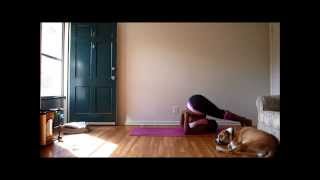 Dear Jessamyn Plow Pose Halasana [upl. by Catina]